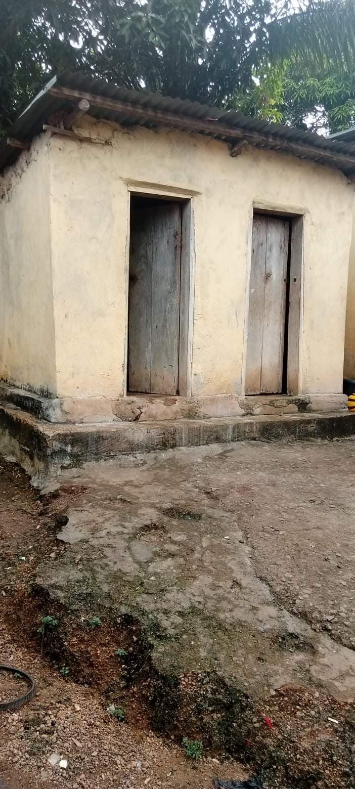 trish laughing with children