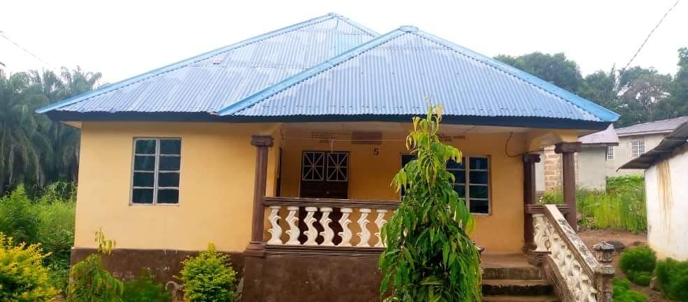 we lead, others follow